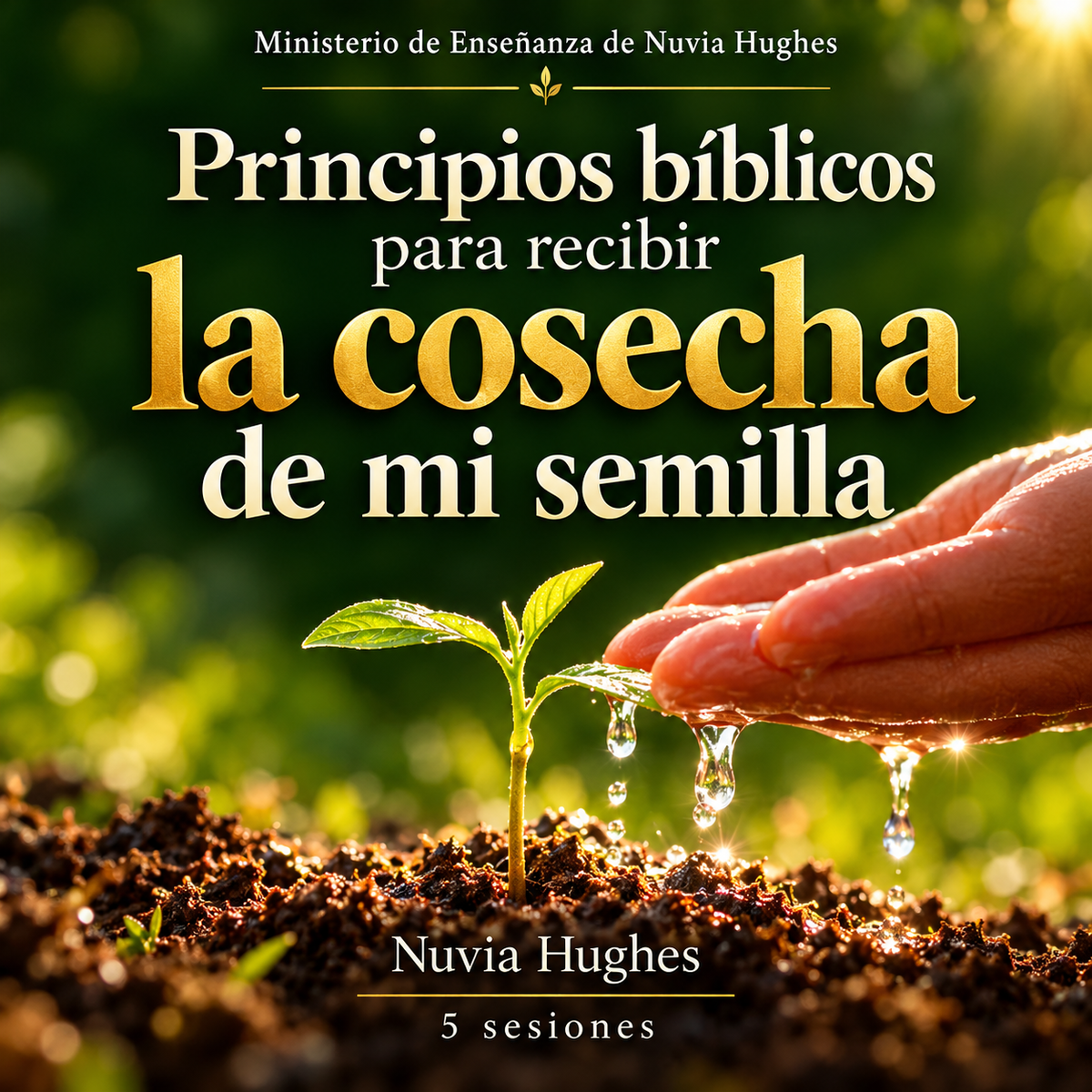 Principios Bíblicos Para Recibir la Cosecha de mi Semilla