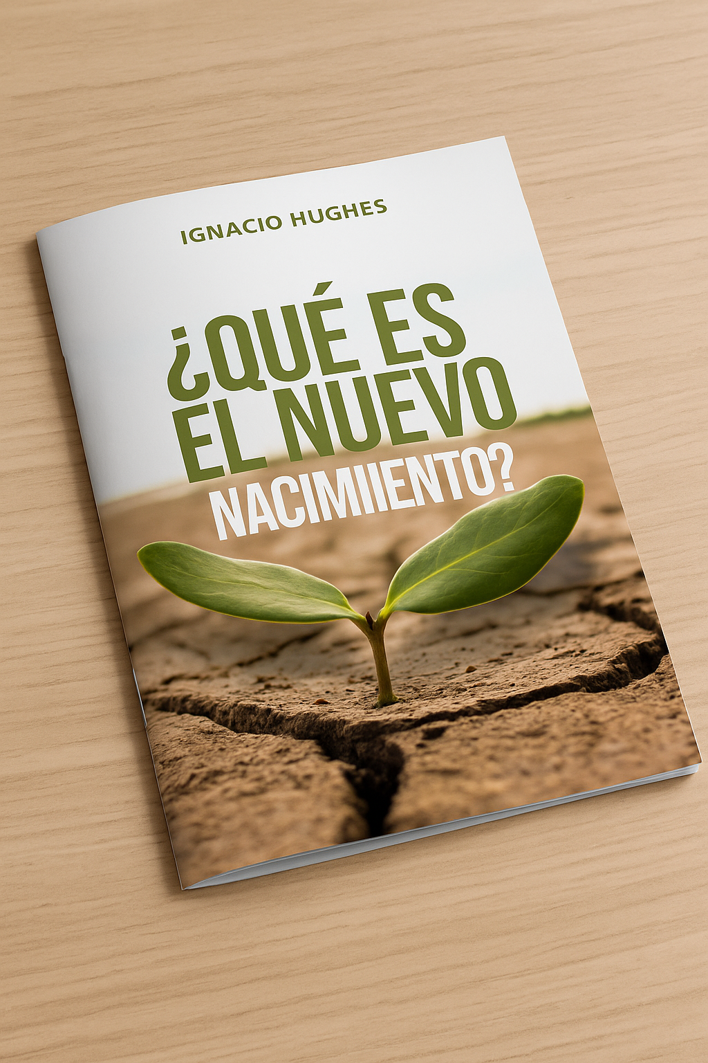 ¿Qué Es el Nuevo Nacimiento?