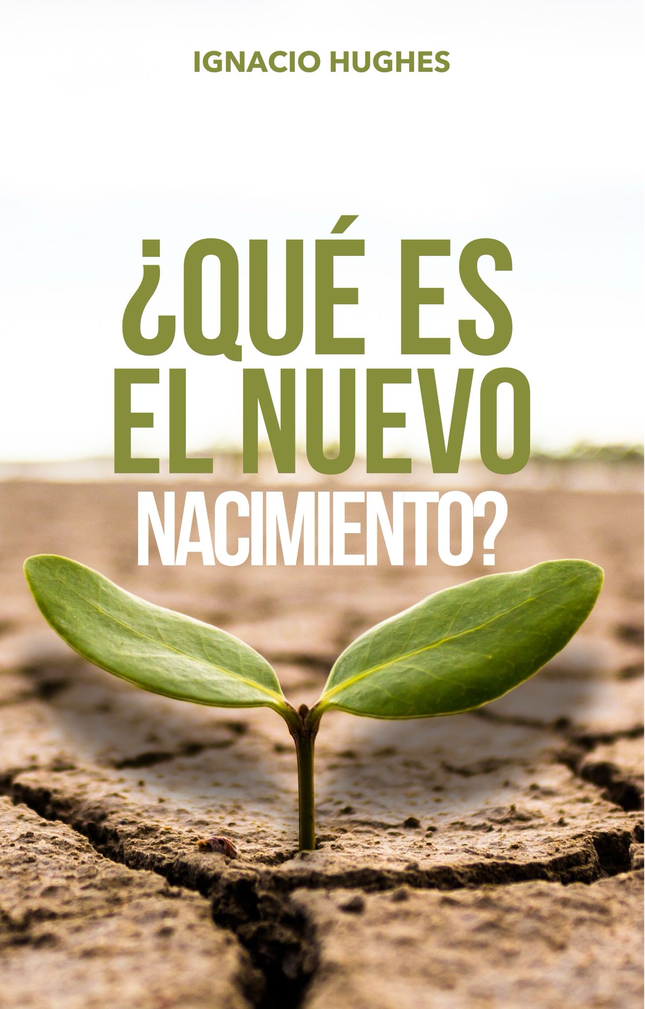 ¿Qué Es el Nuevo Nacimiento?