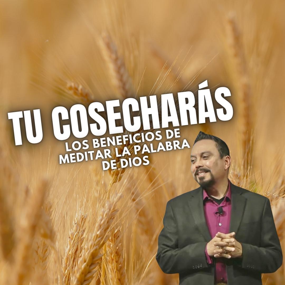 ¿Que es Meditar la Palabra de Dios? Sesion 8