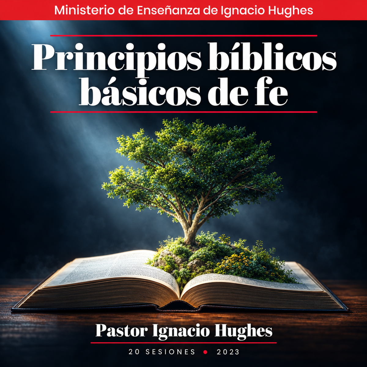 Principios Biblicos Basicos de Fe