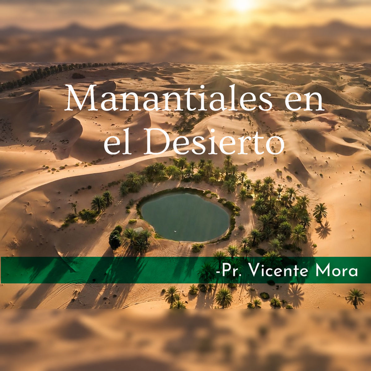 Manantiales en el Desierto